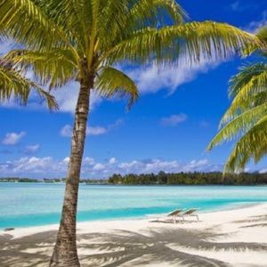 Meet your Posher, Macey